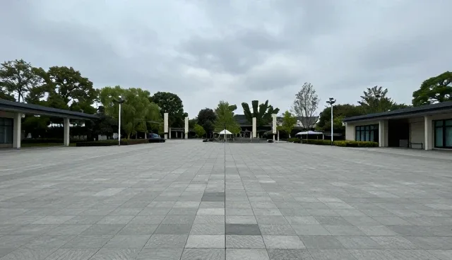 商务包车套餐适用场景及选择依据分析
